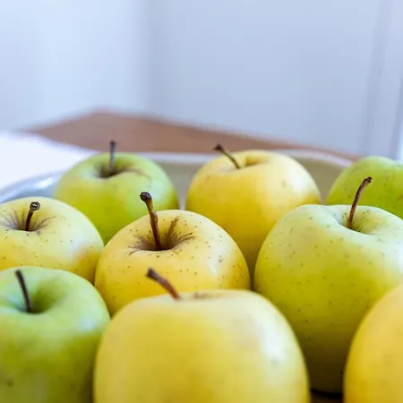 Kastelir Villa Kaštelir