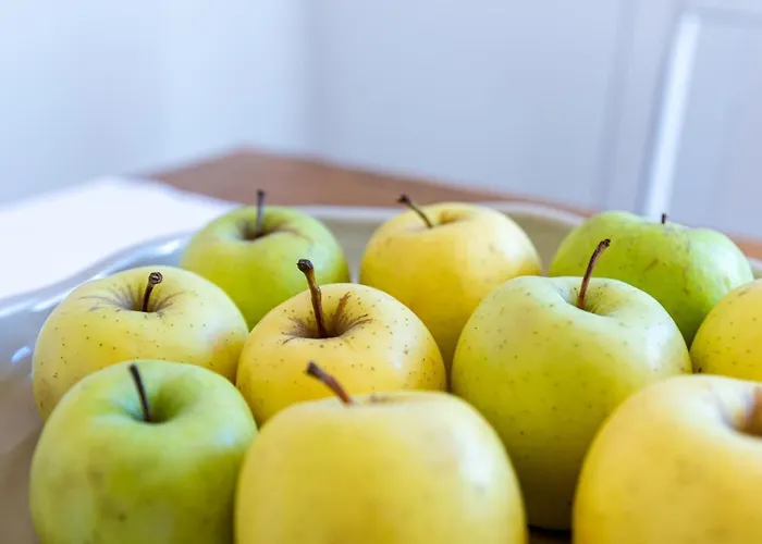 Kastelir Vila Kastelir